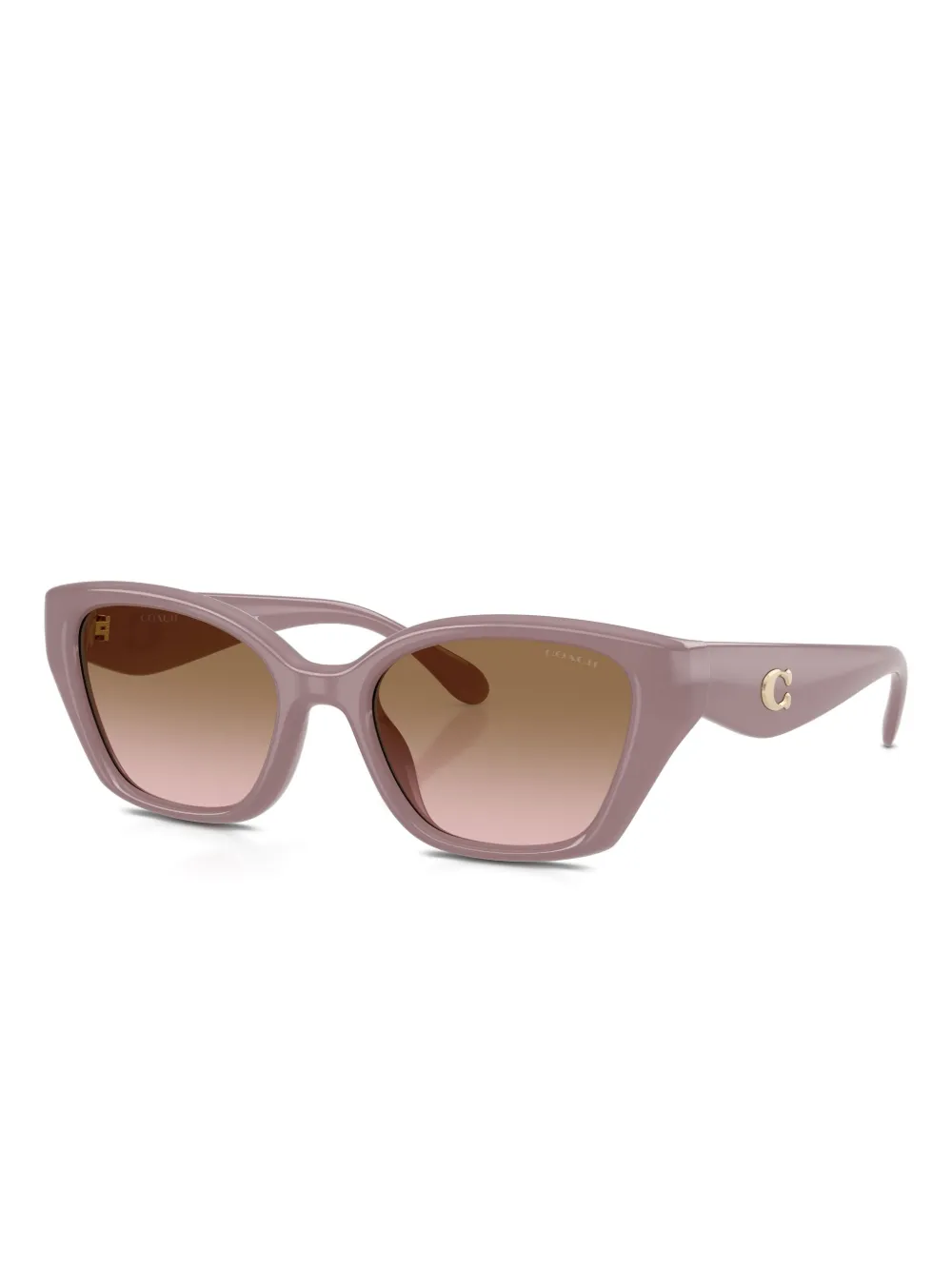Coach Hc8434u Cby91 In Brown