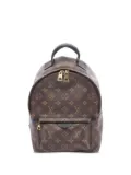 Louis Vuitton Pre-Owned 2016 Palm Springs PM backpack - Brown