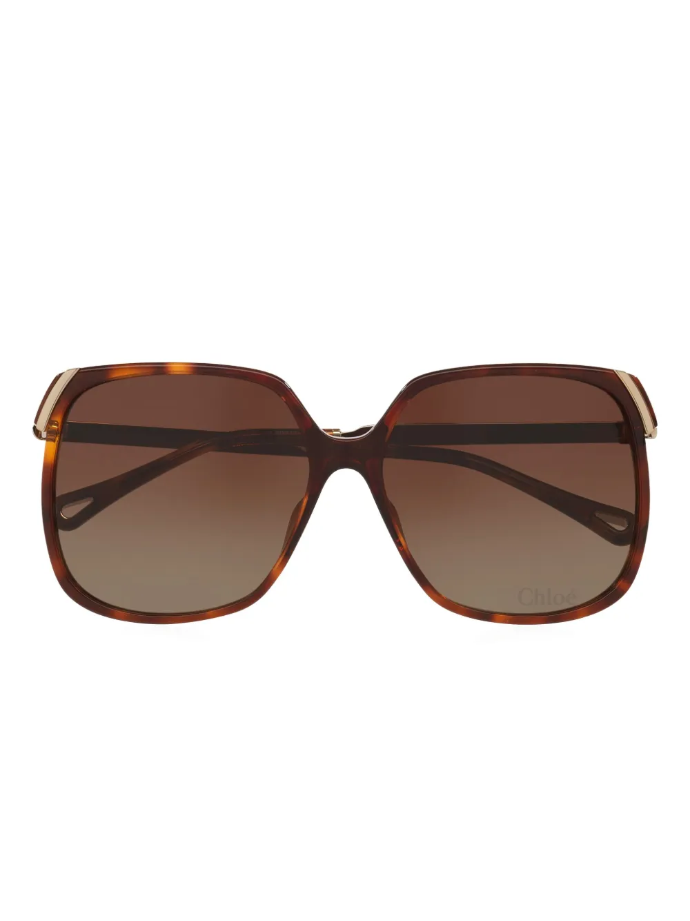 Chloé Ch0286s Round Acetate Sunglasses In Brown