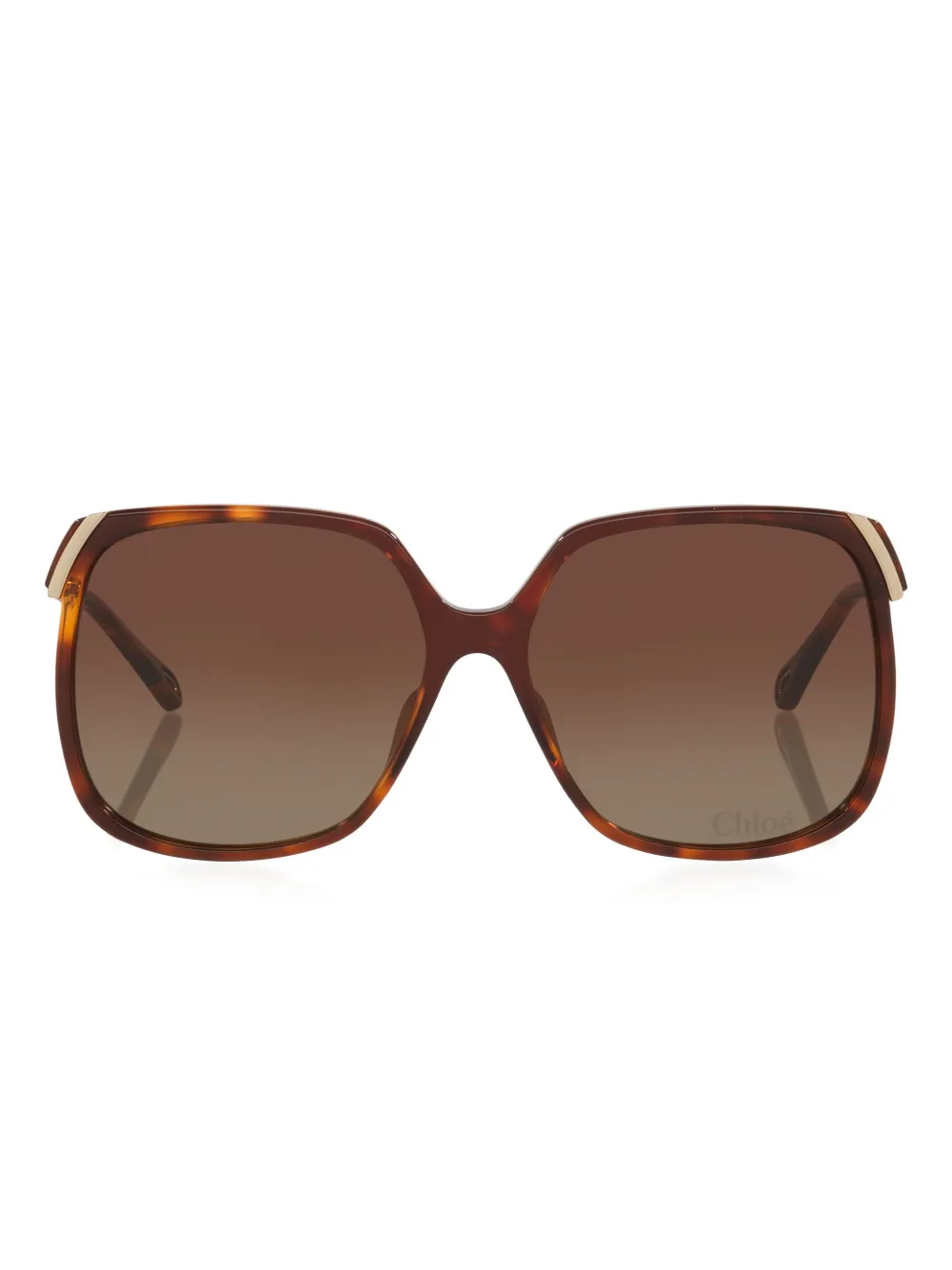 Chloé Ch0286s Round Acetate Sunglasses In Brown