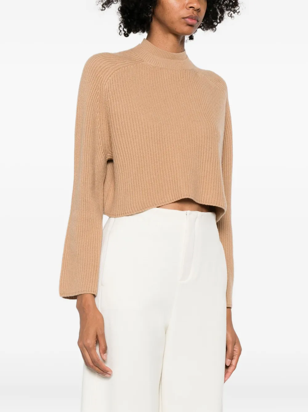 Max Mara Crew Neck Sweater In Cashmere Wool In Neutral