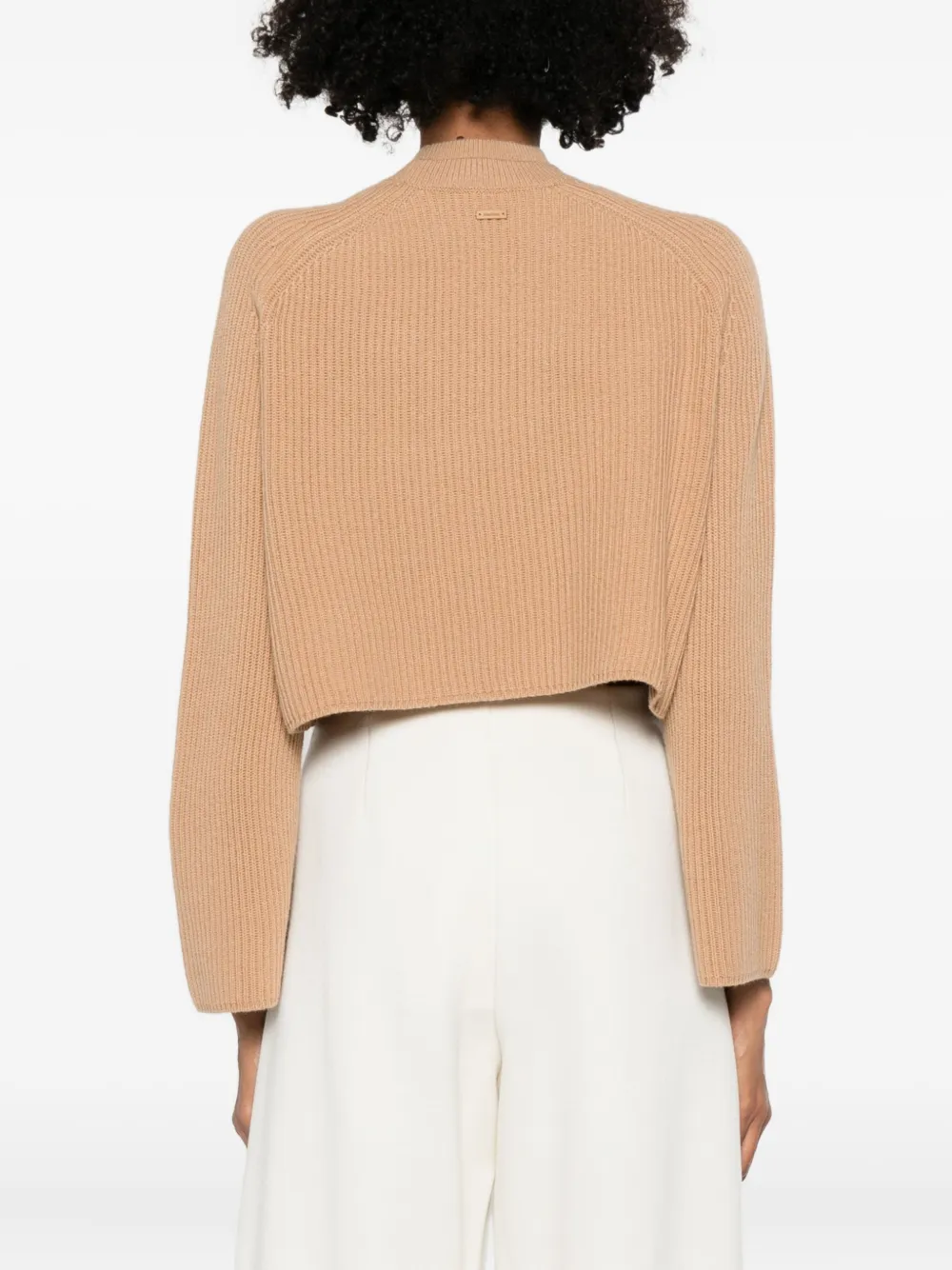 Max Mara Crew Neck Sweater In Cashmere Wool In Neutral