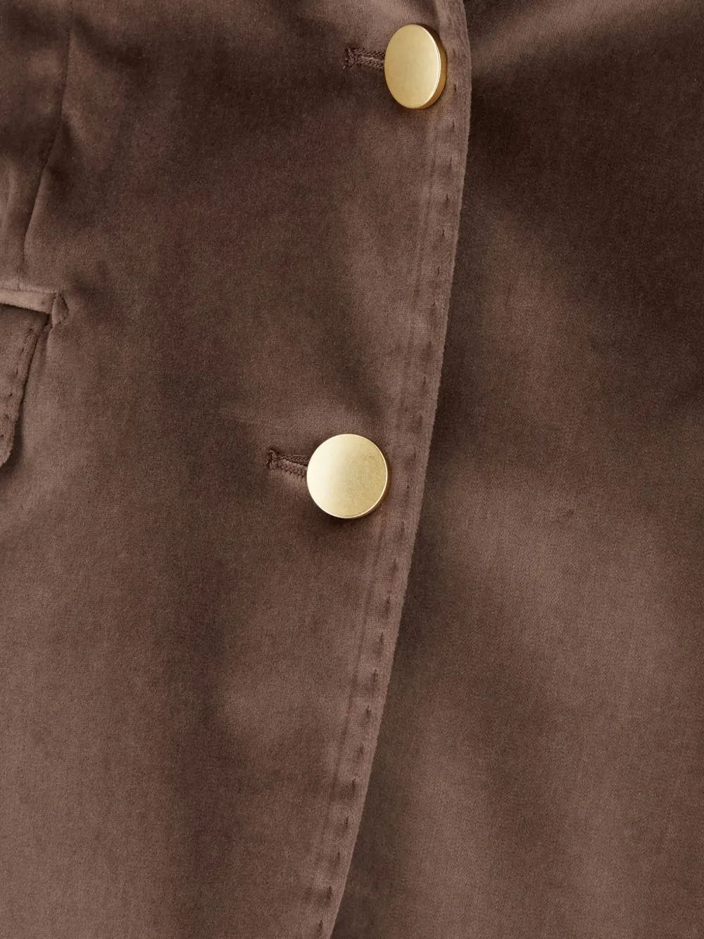 Tagliatore Button Blazer In Brown