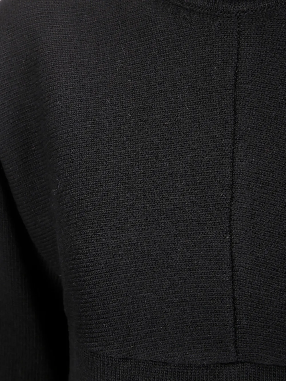 Stefano Mortari Turtleneck Mini Dress In Black