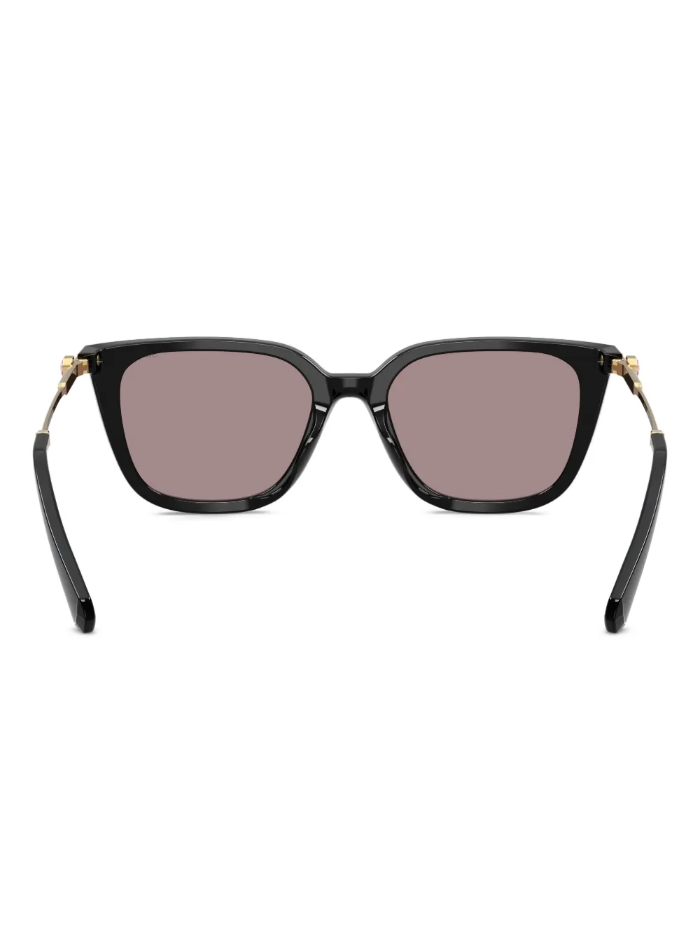 Swarovski Eyewear Crystal-embellished Square Sunglasses In Brown
