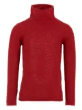 Simonetta turtleneck textured sweater