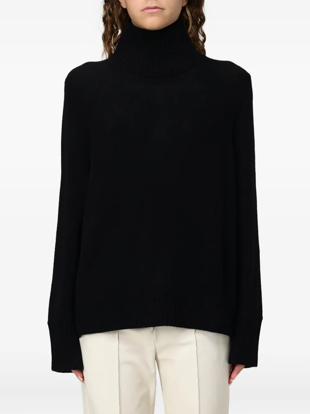 Allude High-neck Sweater In Black