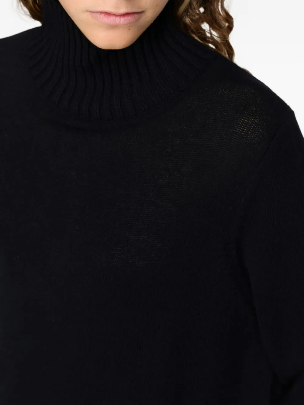 Allude High-neck Sweater In Black