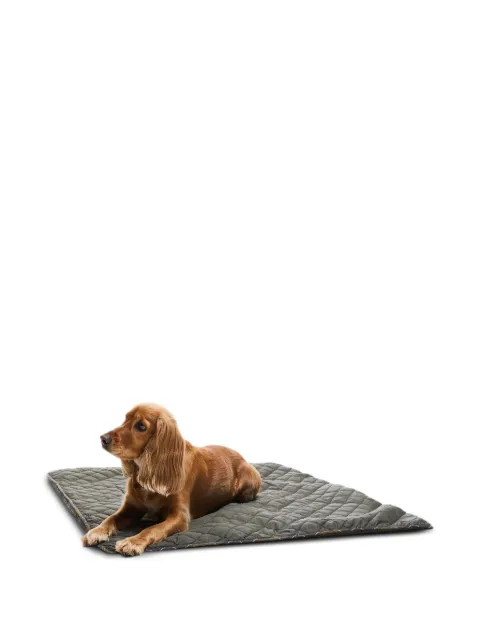 Barbour manta para perro con ribete de cuadros tartán