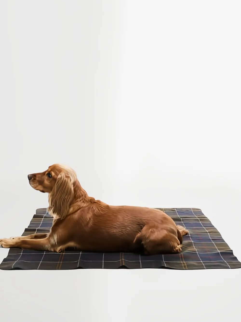 Barbour couverture pour chien à motif tartan | Homme | Image 2
