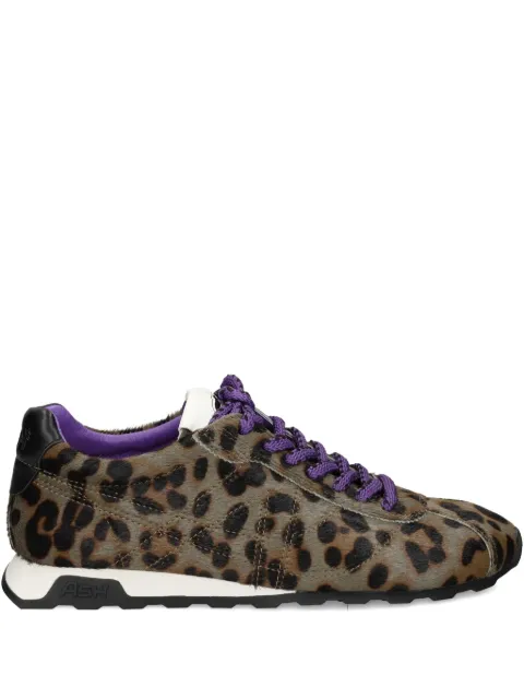 Ash baskets à imprimé léopard