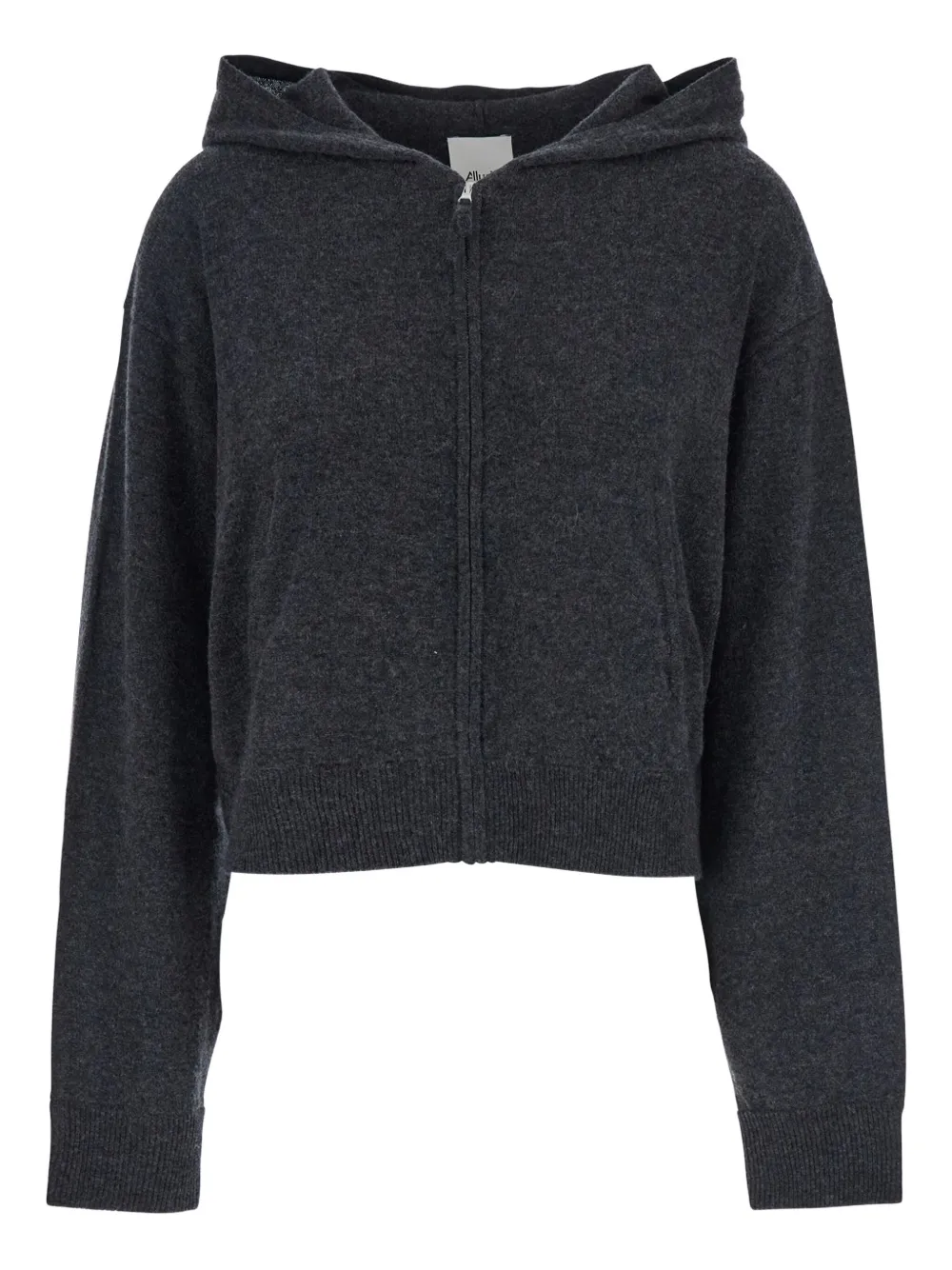 Allude Zip-up Hoodie In Black