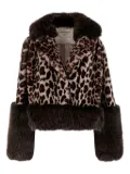 UNCOMMON leopard-print jacket - Brown