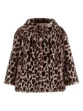 UNCOMMON leopard-print wide-collar coat - Brown