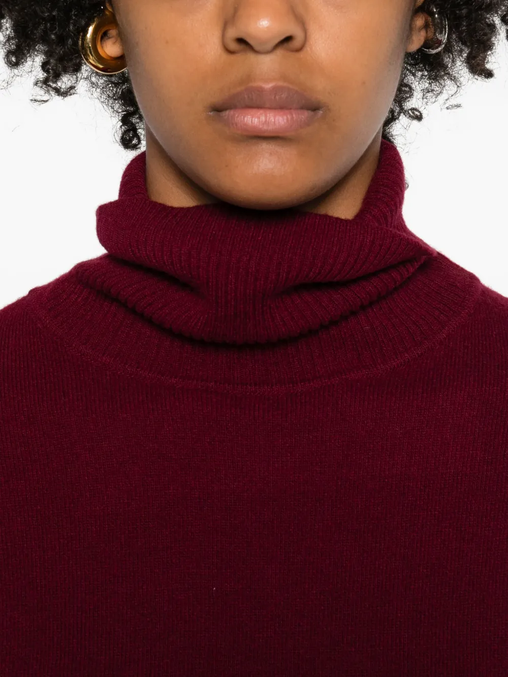 Daniele Fiesoli Turtleneck Sweater In Red