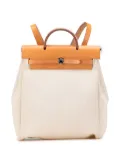 Hermès Pre-Owned 2003 Toile Herbag PM backpack - Brown