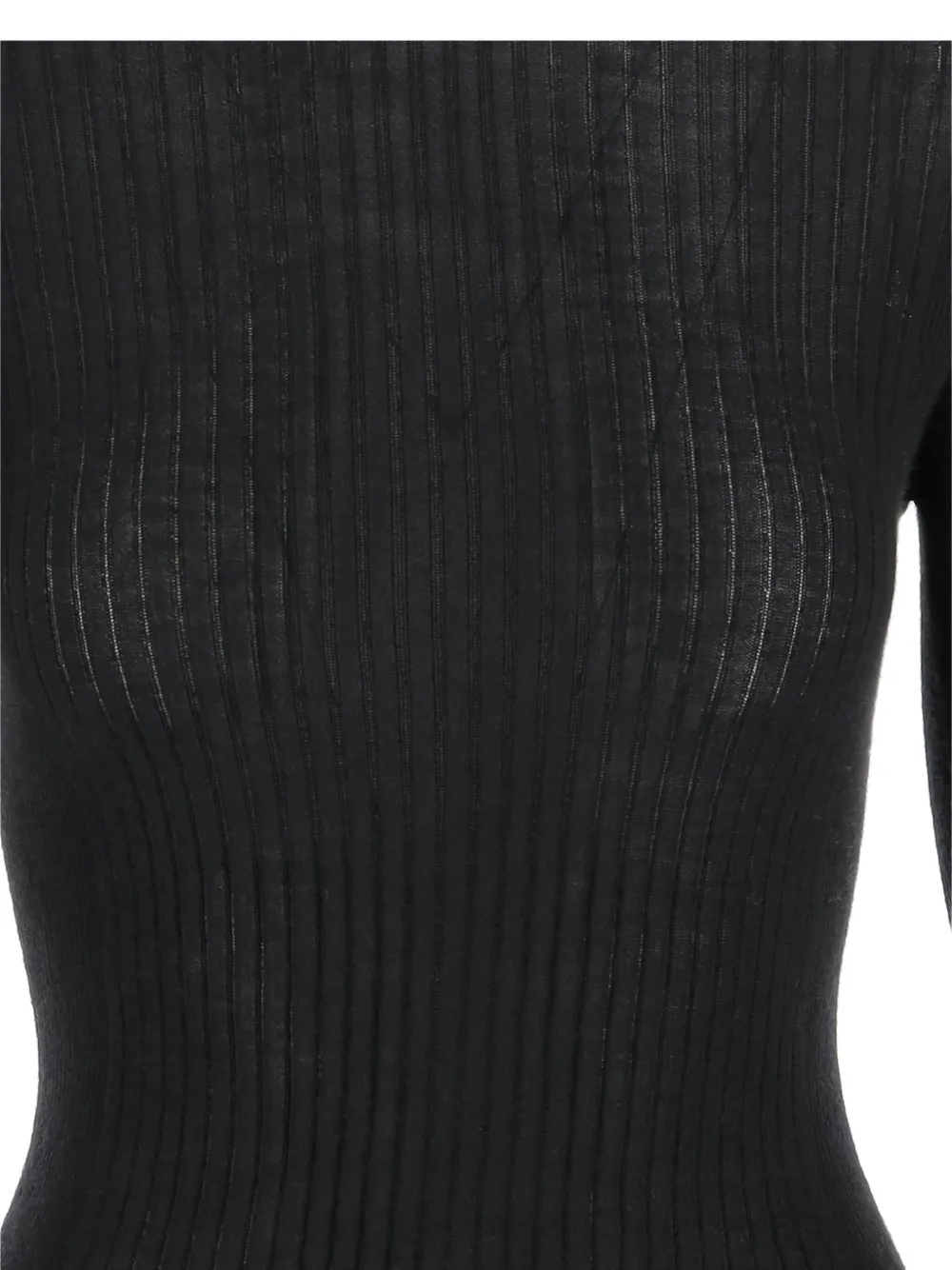 Sa Su Phi Ribbed High-neck Sweater In Black