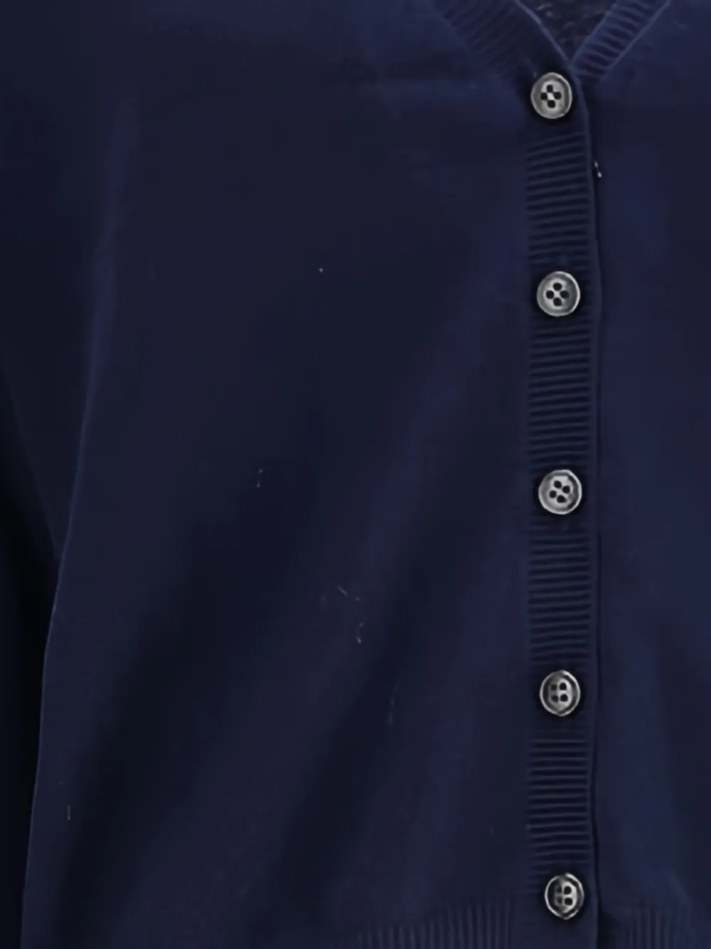 Lisa Yang The Abby Button Cardigan In Blue