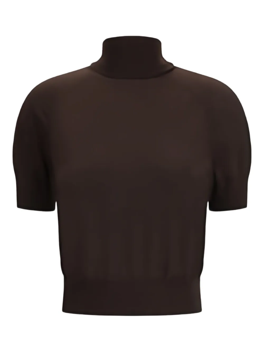 Petar Petrov short-sleeve turtleneck top | Brown | Image 1