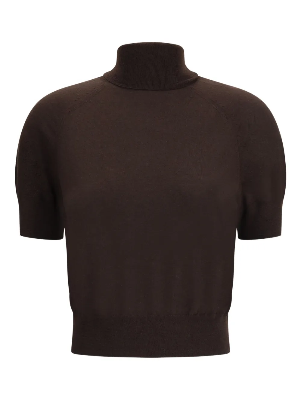 Petar Petrov Short-sleeve Turtleneck Top In Brown