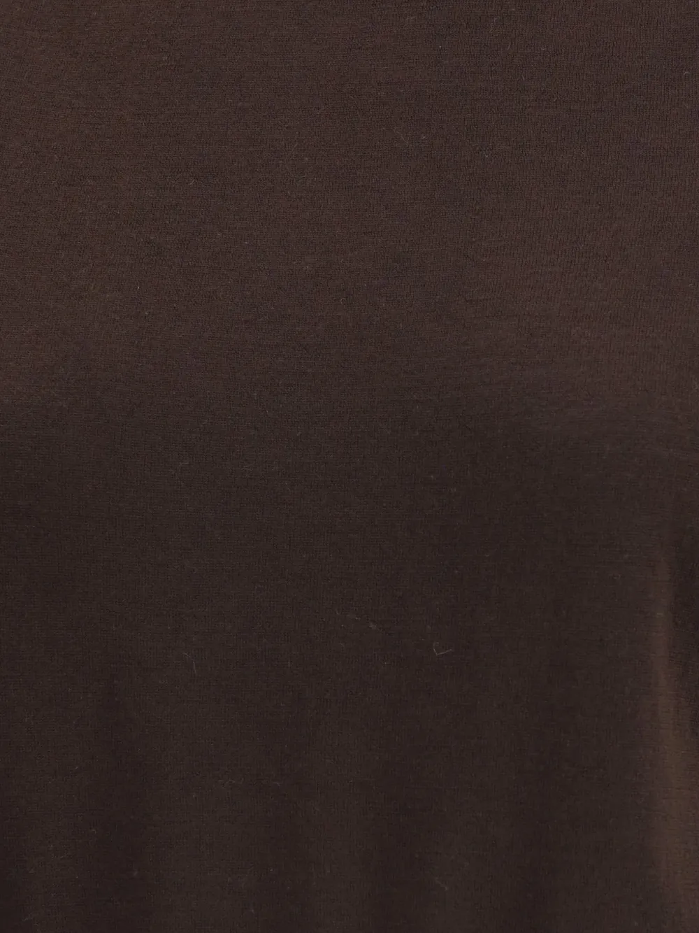 Petar Petrov Short-sleeve Turtleneck Top In Brown