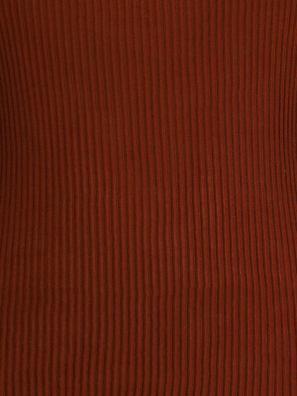 Petar Petrov Ribbed Fitted Top In Brown