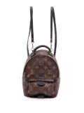Louis Vuitton Pre-Owned 2017 Monogram Mini Palm Springs backpack - Brown