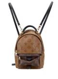 Louis Vuitton Pre-Owned 2017 Monogram Reverse Mini Palm Springs backpack - Brown