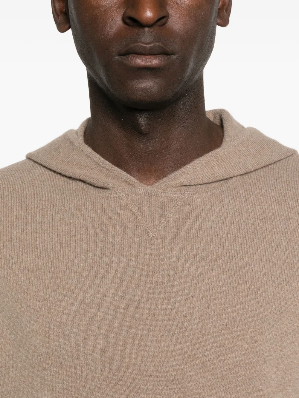 Daniele Fiesoli Cashmere Hoodie In Brown