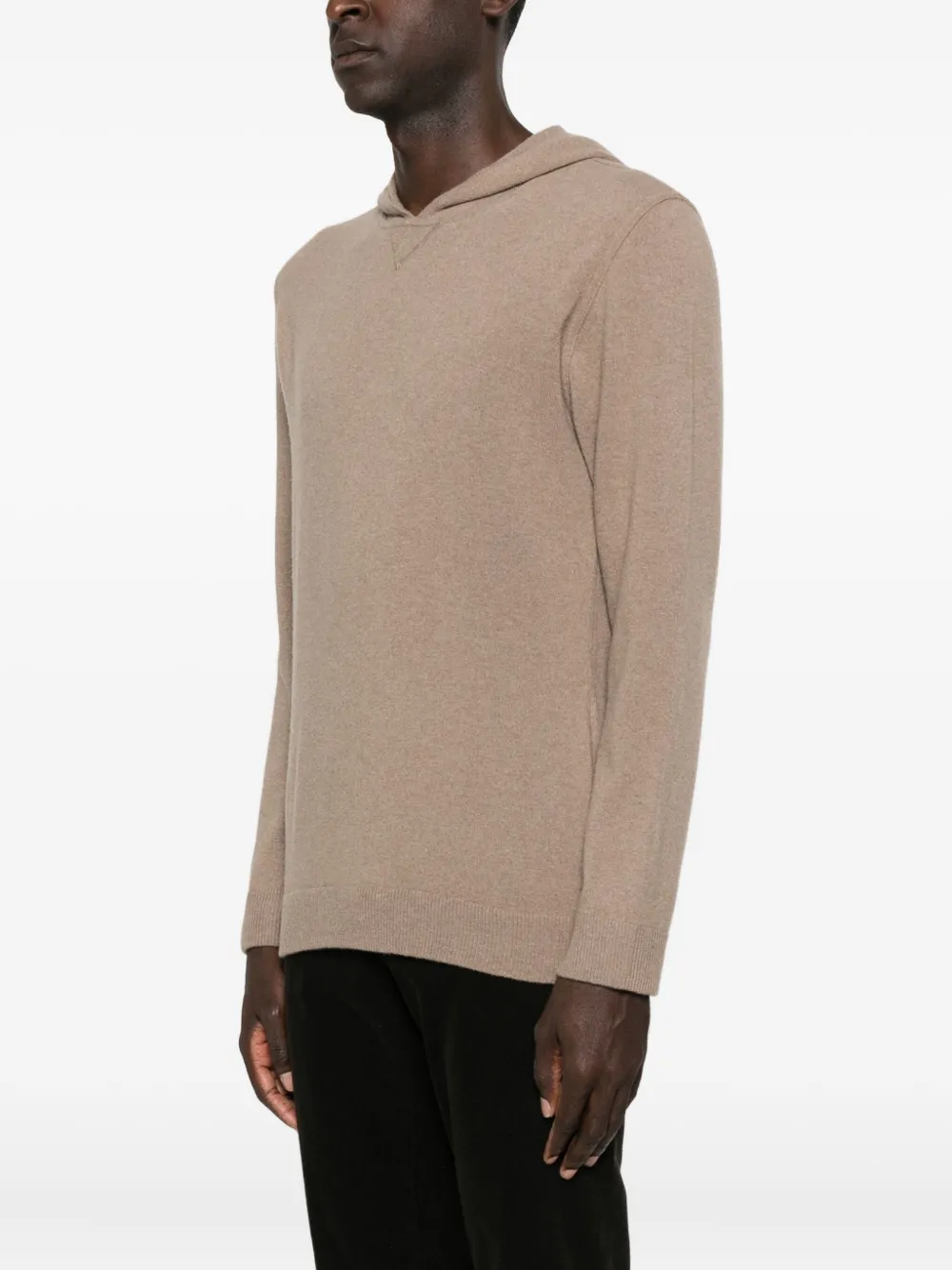 Daniele Fiesoli Cashmere Hoodie In Brown