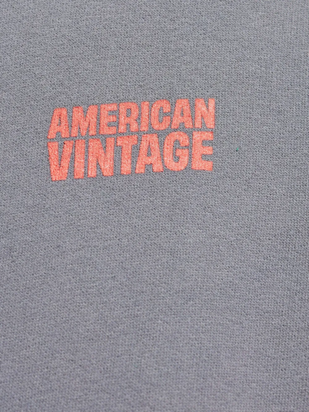 American Vintage Plizzy hoodie Grijs