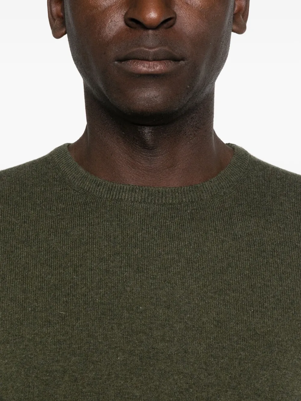 Fileria Crew-neck Cashmere Sweater In Green