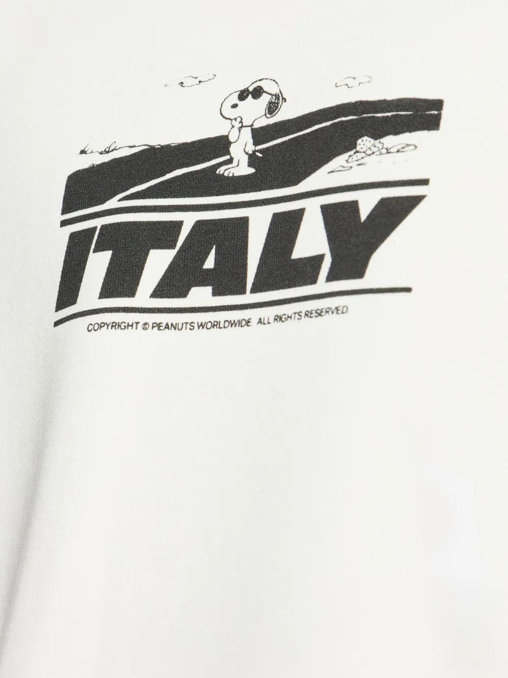 Iceberg x Peanuts sweater Wit