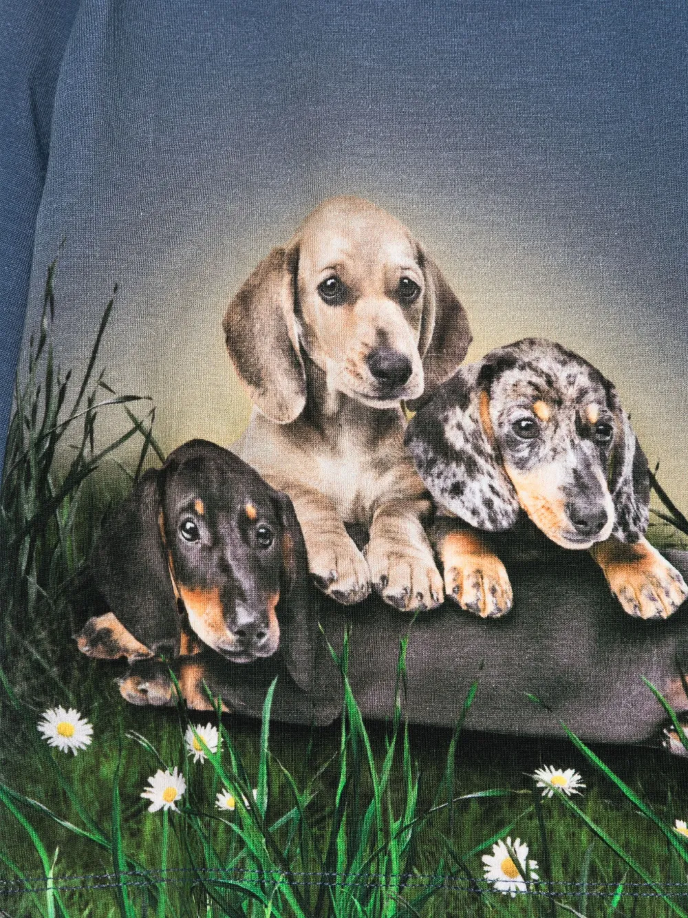 Molo Top met hondenprint Blauw