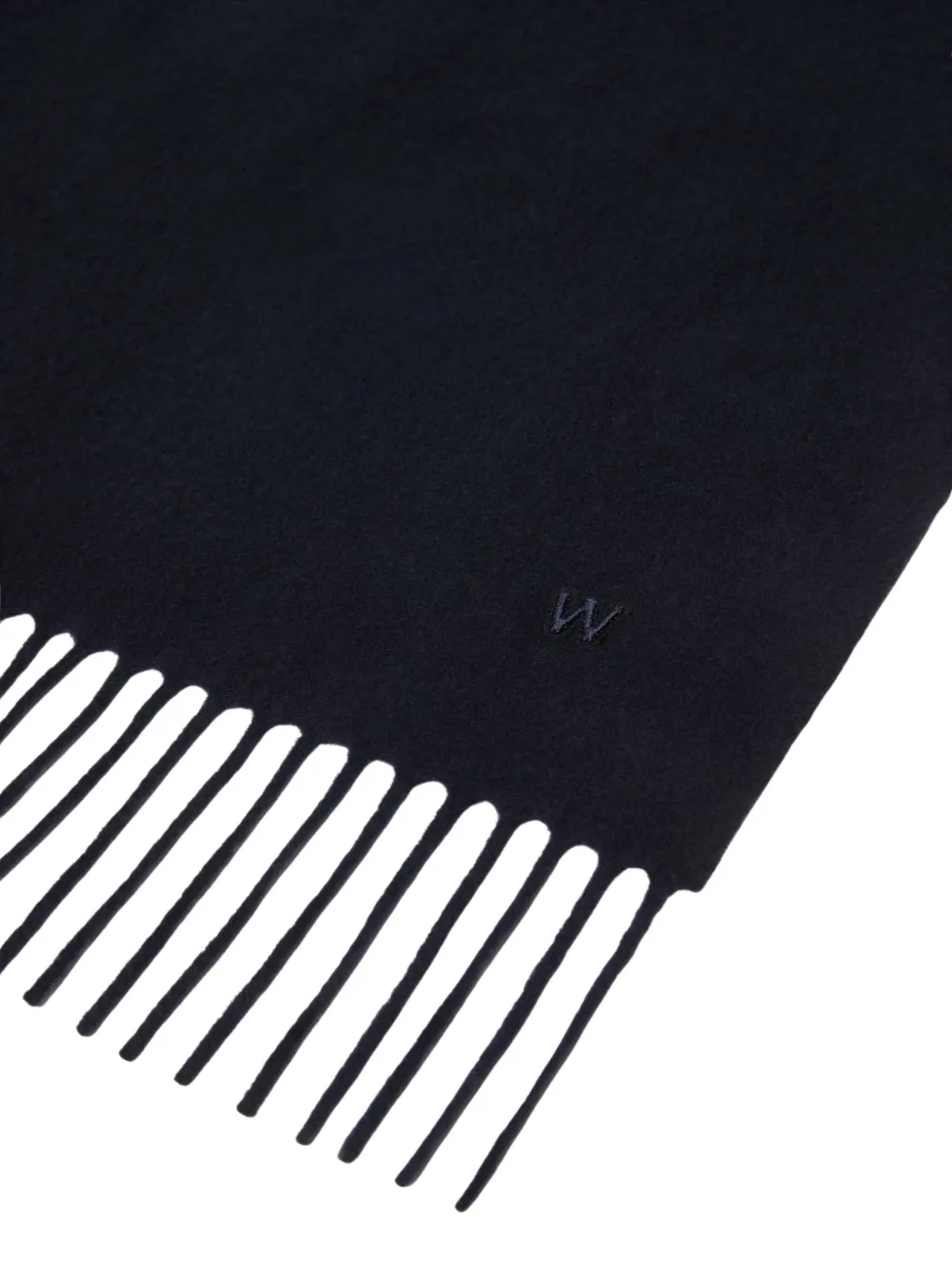 Weekend Max Mara Fringed Scarf In Blue