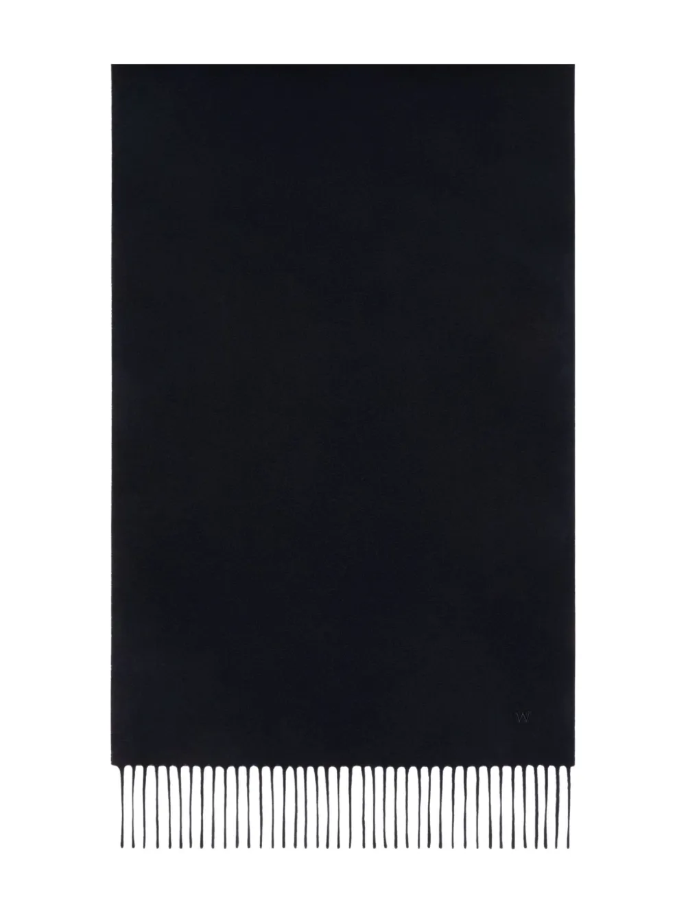 Weekend Max Mara Fringed Scarf In Blue