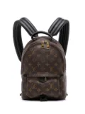 Louis Vuitton Pre-Owned 2016 Monogram Palm Springs PM backpack - Brown