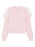 Blumarine feather-detail ribbed sweater - Pink
