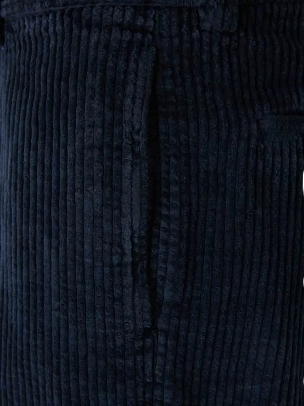 Berwich Pleated Corduroy Trousers In Blue