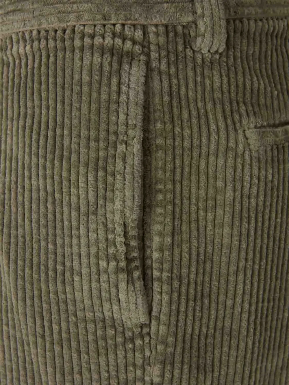 Berwich Pleated Corduroy Trousers In Green