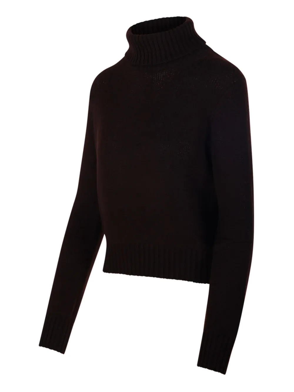 Beyou Turtleneck Ribbed Knit In Brown