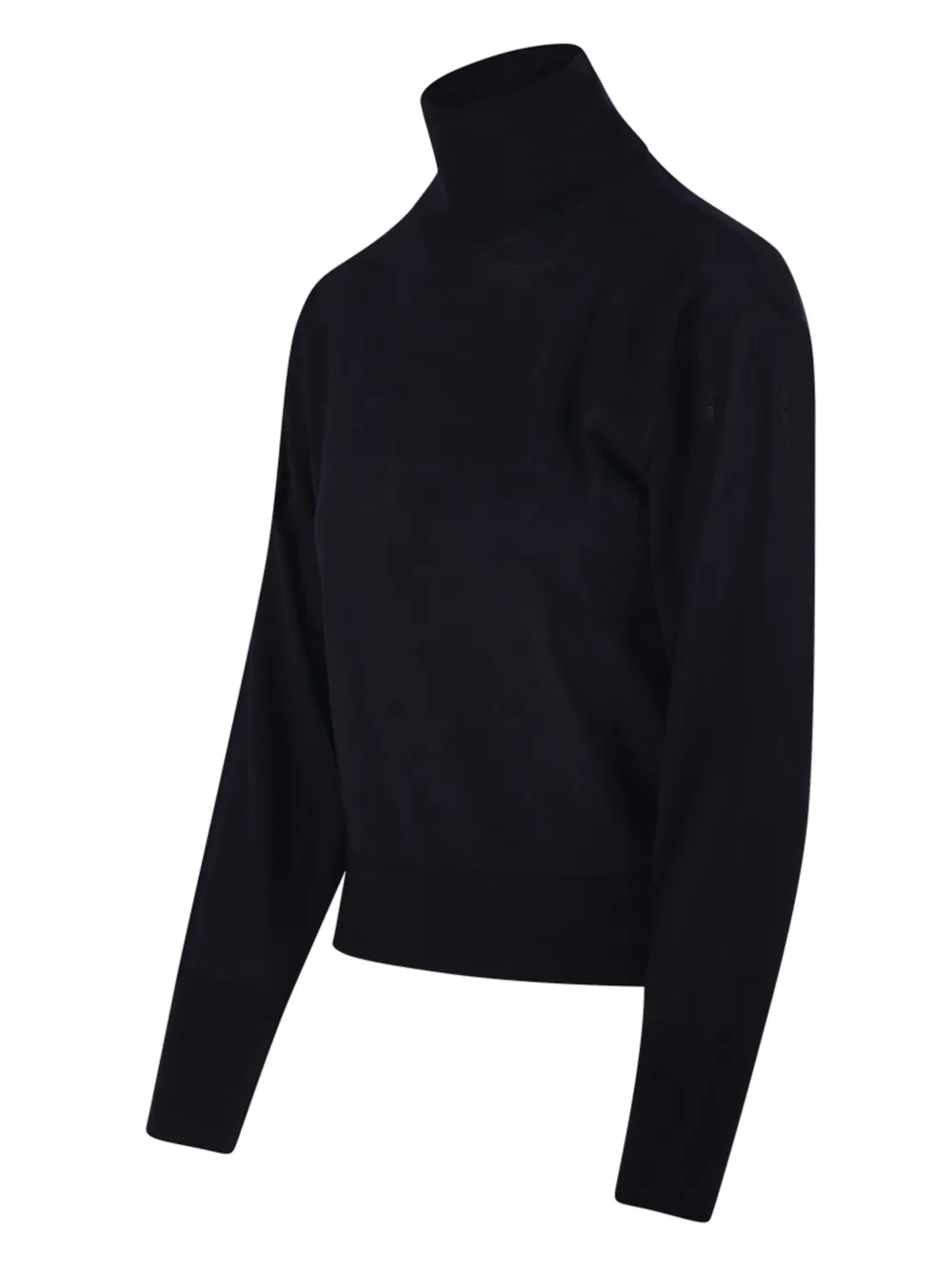 Daniele Fiesoli Turtleneck Ribbed Knit In Black