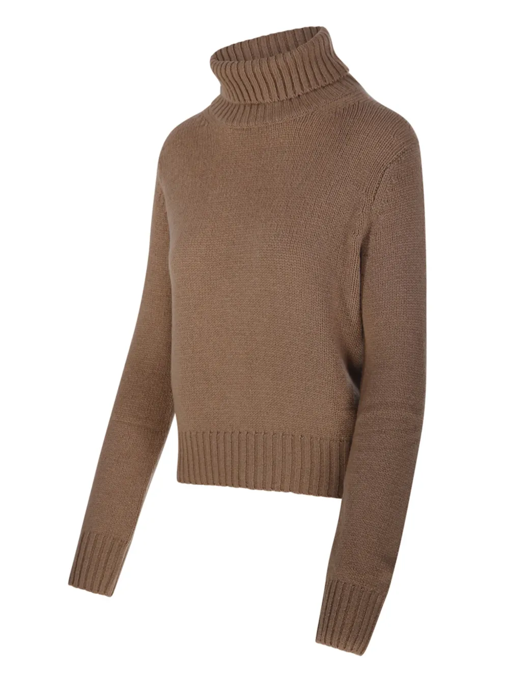 Beyou Turtleneck Cropp Sweater In Brown