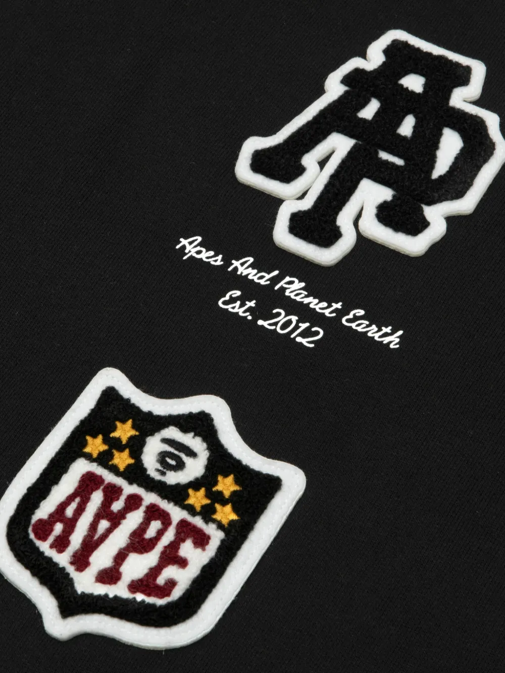 Aape By A Bathing Ape Embroidered Long-sleeve Hoodie In Black