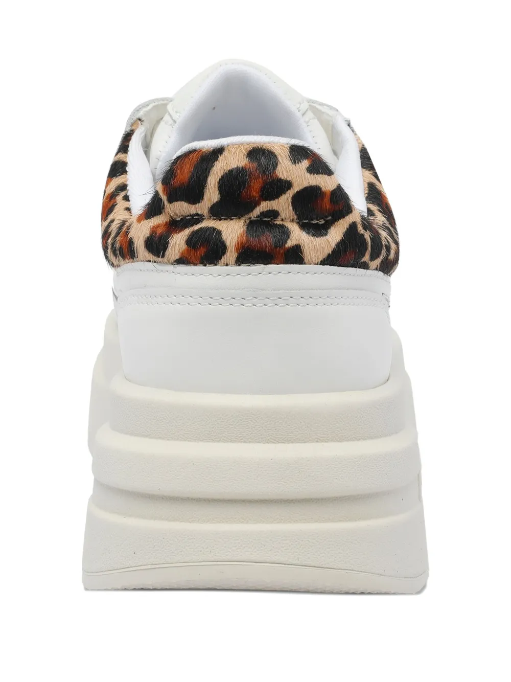 Ash Low Top Sneakers Leopard Print In Multi