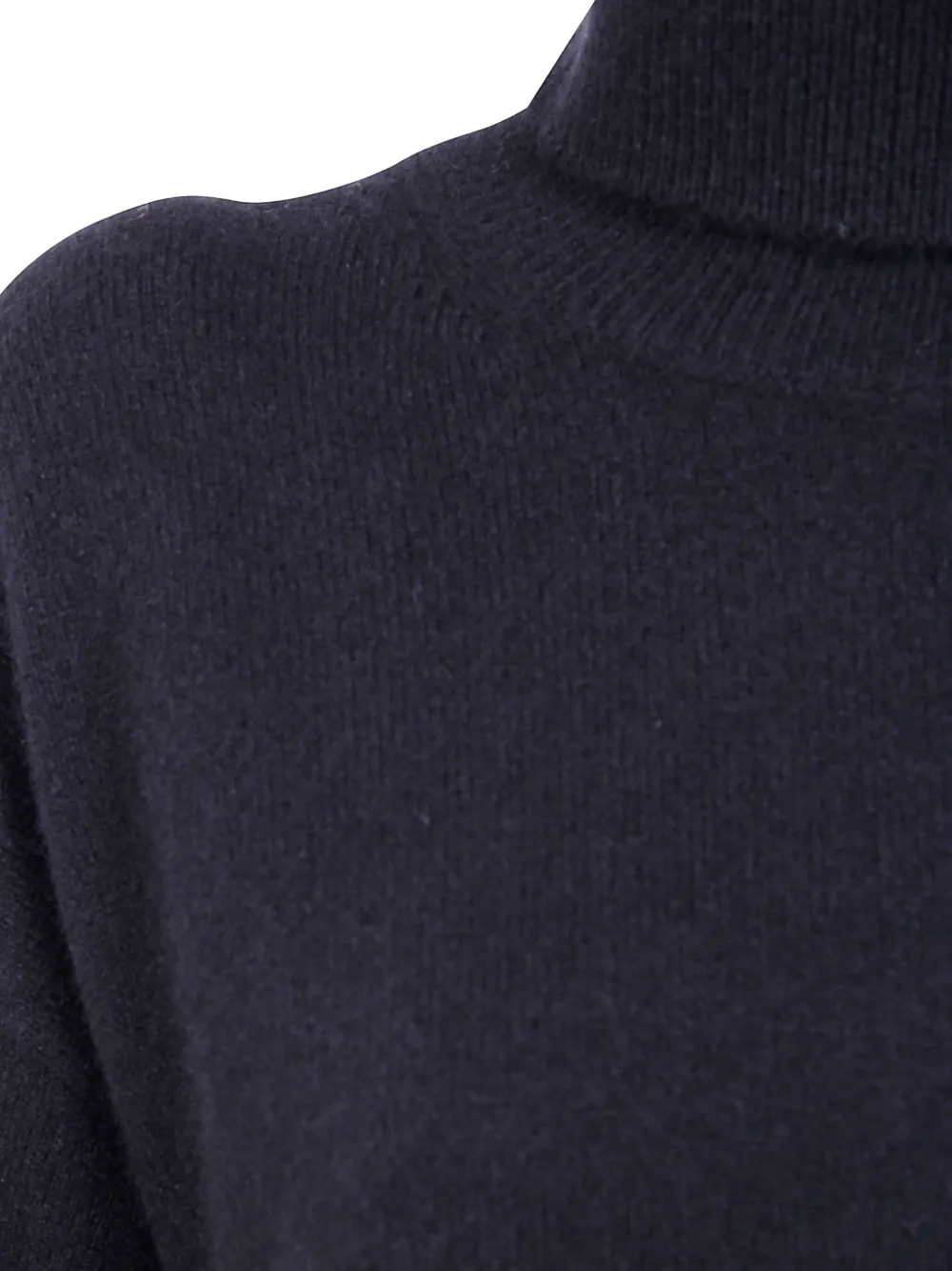 Joseph High Neck Long Sleeves Brushed Cashmere In Black