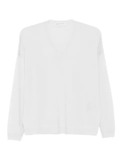 GOES BOTANICAL v-neck long-sleeve sweater