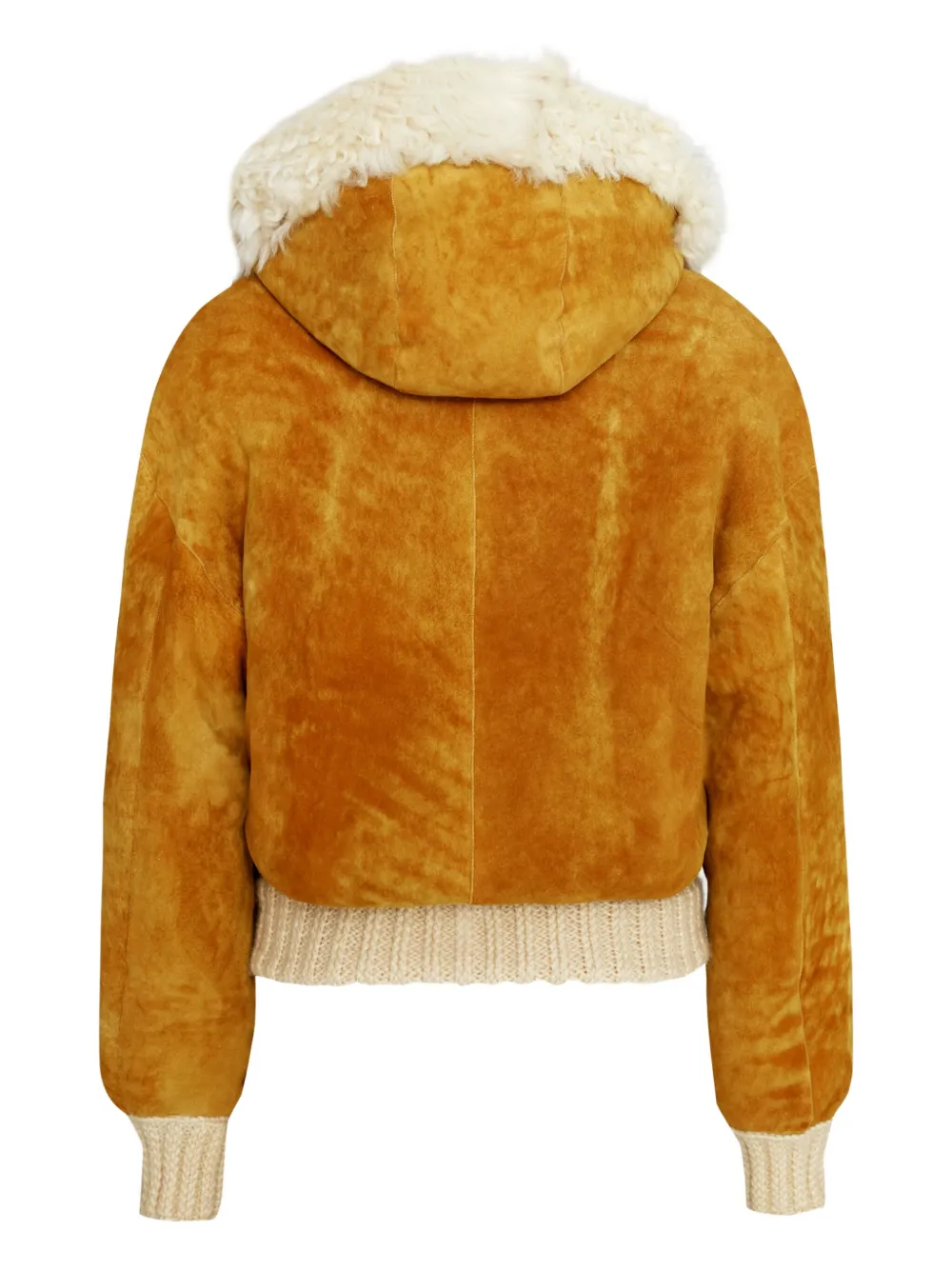 Bigardini Danica Hooded Shearling Jacket In Brown