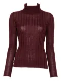 Hugenberg ribbed turtleneck sweater - Red