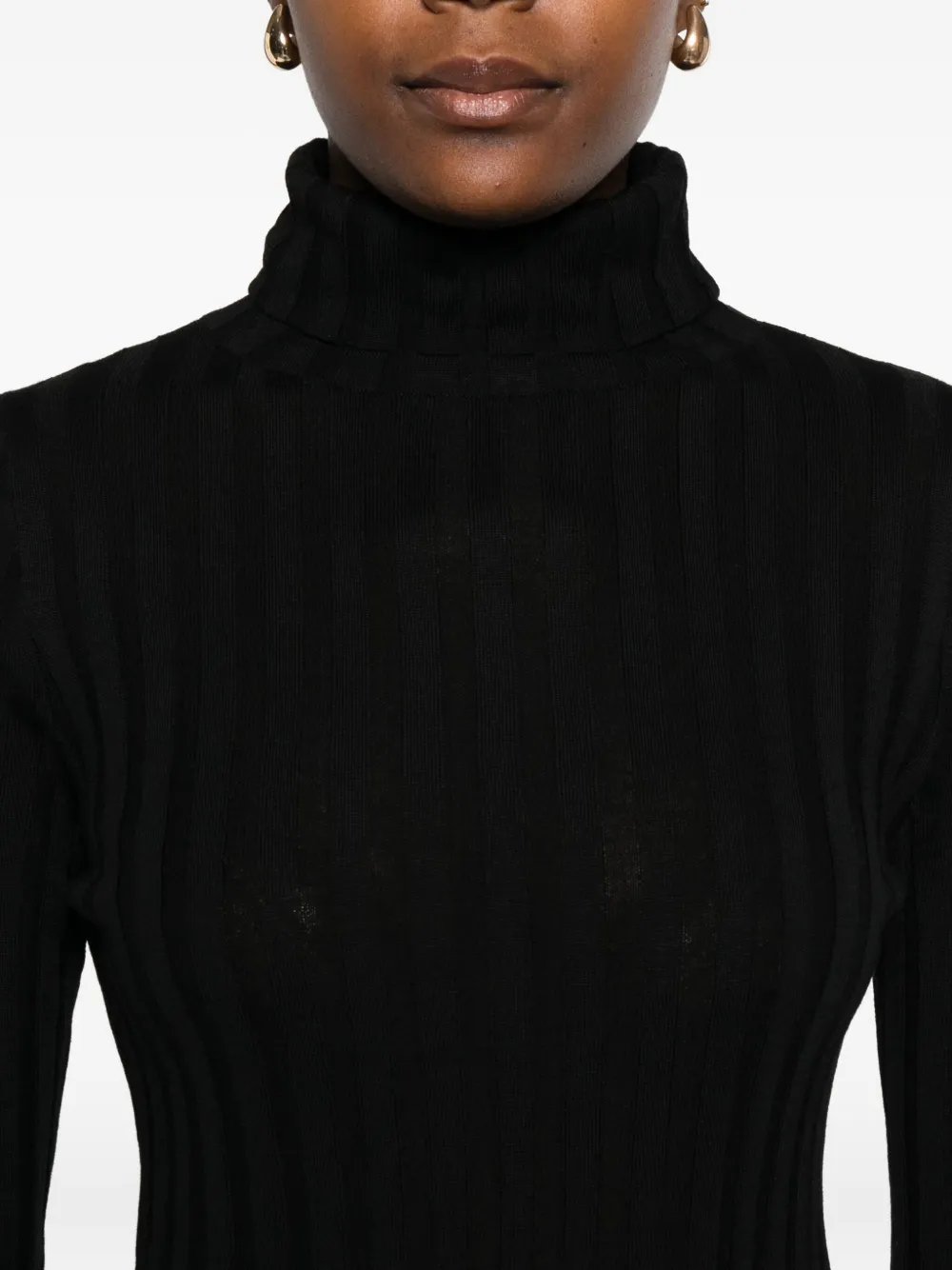 Hugenberg Ribbed Turtleneck Sweater In Black